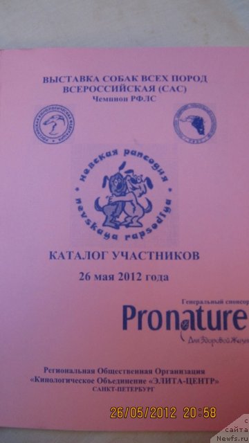 Фотография № 96905