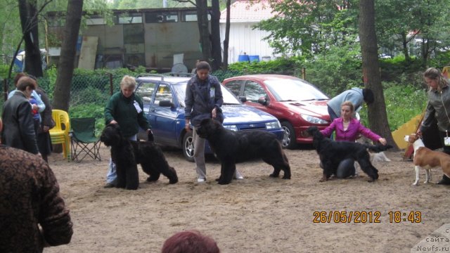 Фотография № 96910