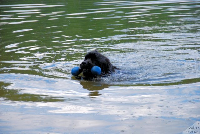 Фотография № 96965