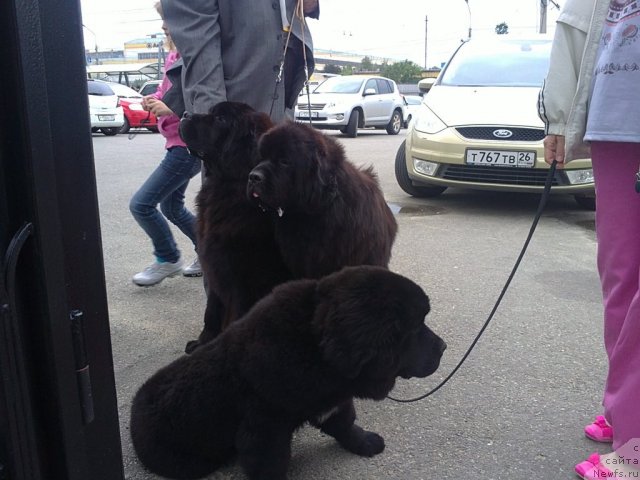 Фотография № 96996