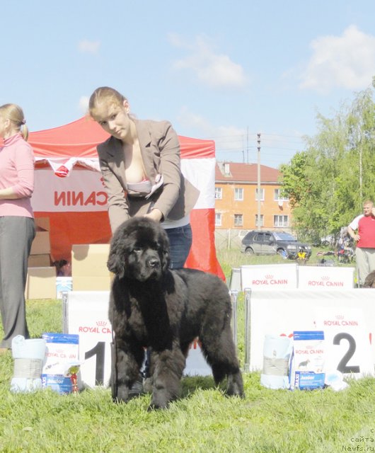 Фотография № 97008