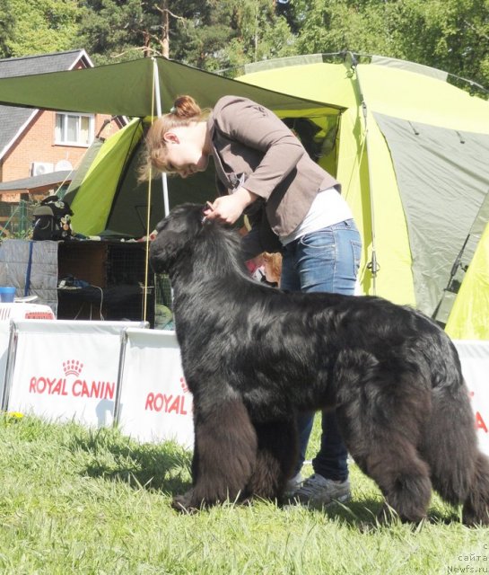 Фотография № 97016