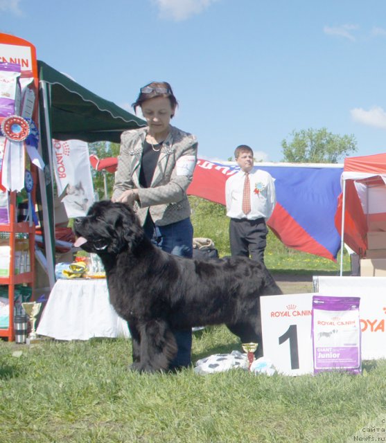 Фотография № 97017