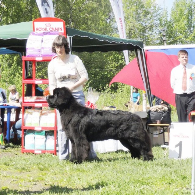 Фотография № 97021