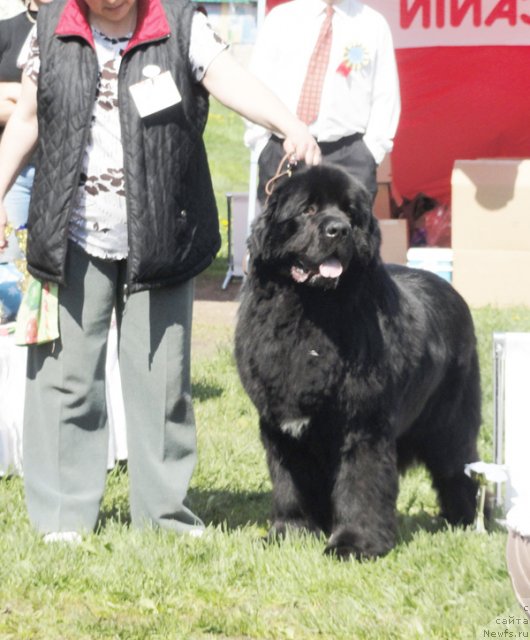 Фотография № 97023