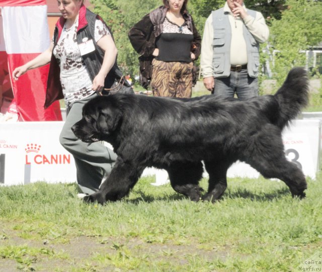 Фотография № 97024