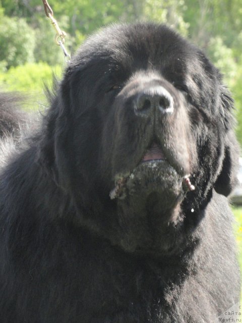 Фотография № 97025