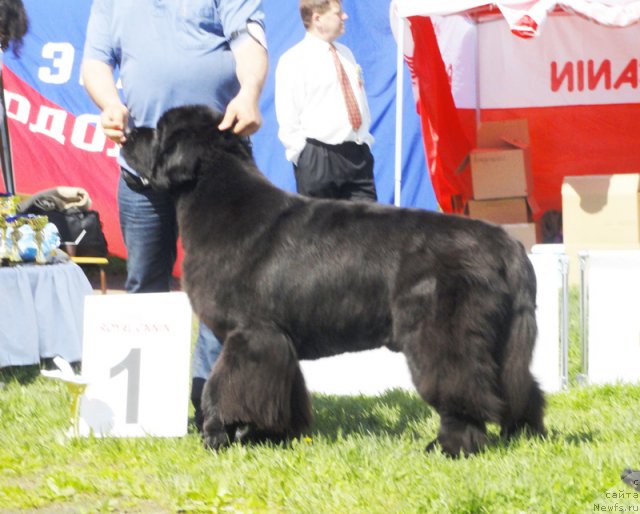 Фотография № 97026