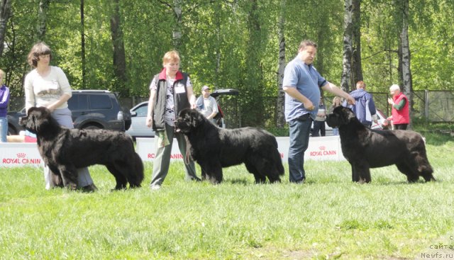 Фотография № 97027