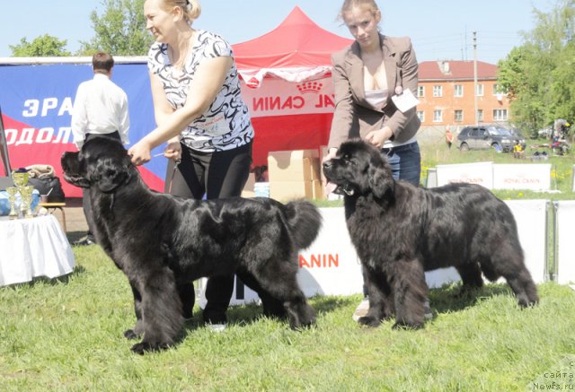 Фотография № 97028