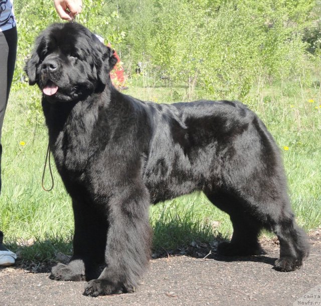 Фотография № 97030