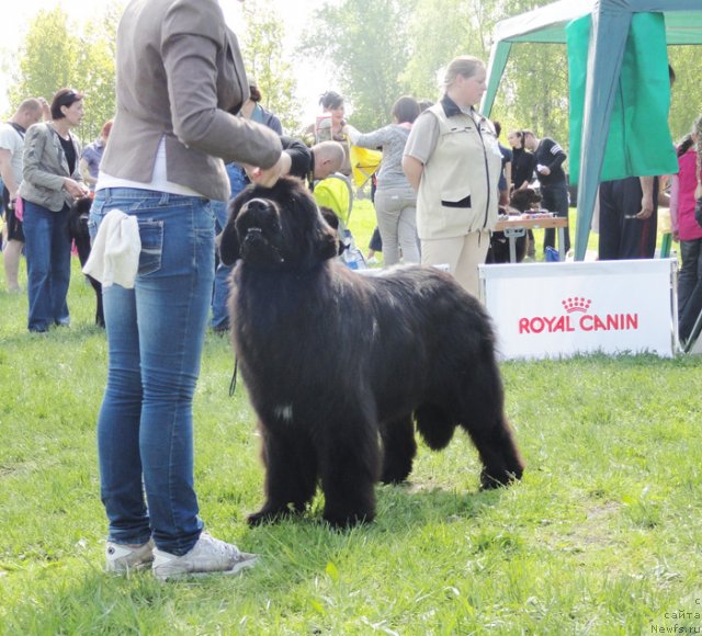 Фотография № 97033