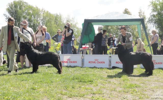 Фотография № 97035