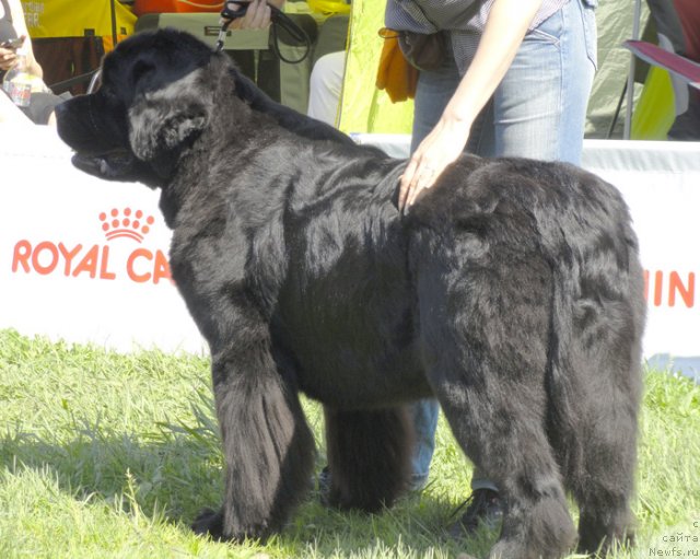 Фотография № 97038