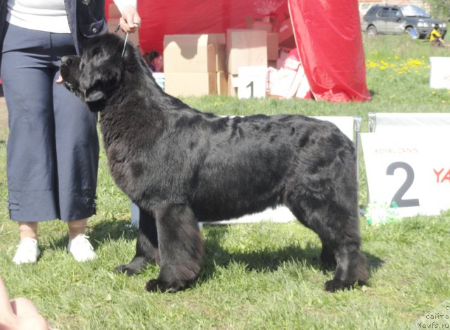 Фотография № 97039