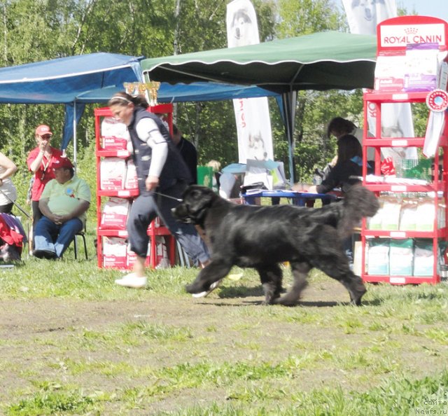 Фотография № 97040