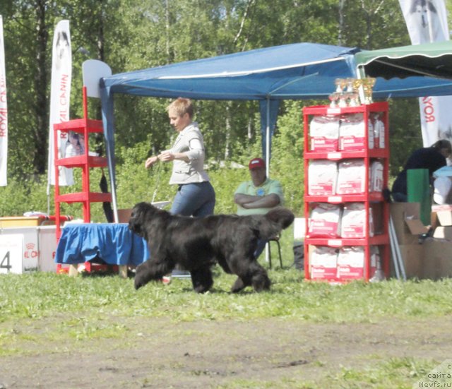 Фотография № 97042