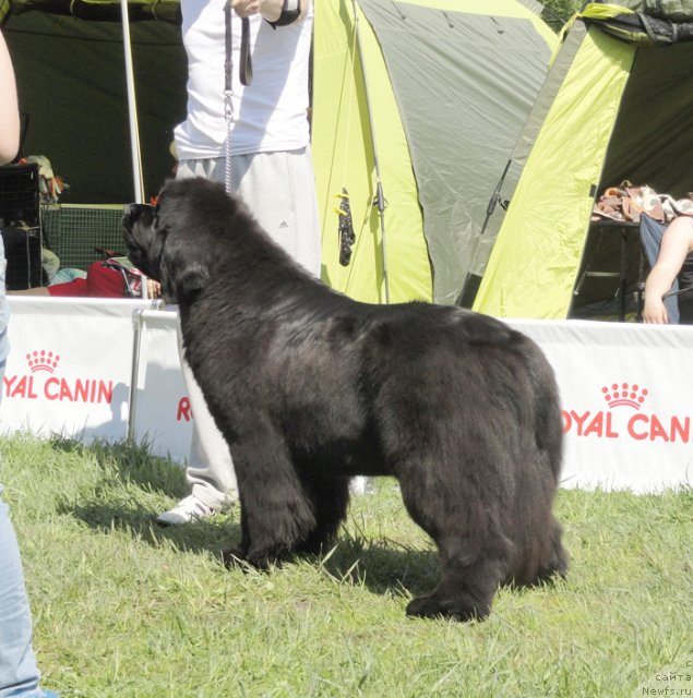 Фотография № 97043