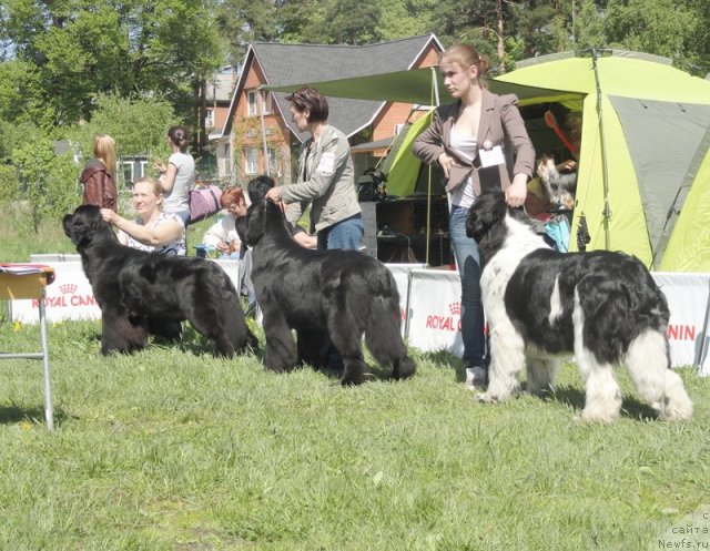 Фотография № 97044