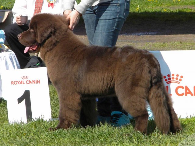 Фотография № 97116