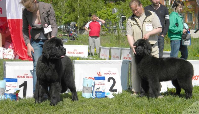 Фотография № 97118