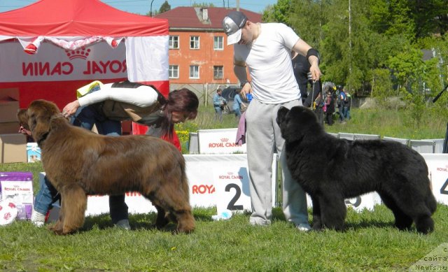 Фотография № 97120