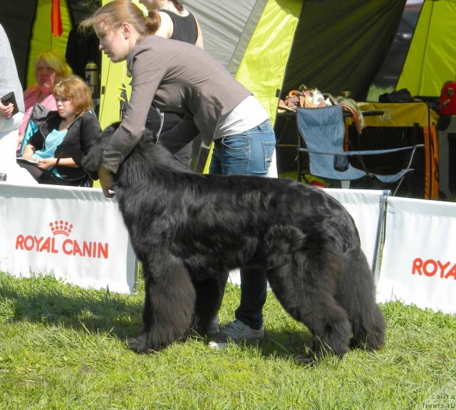 Фотография № 97123