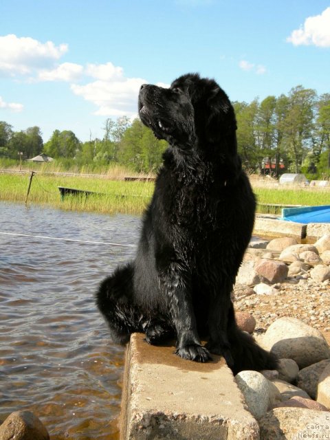 Фотография № 97129