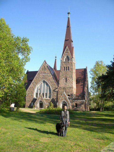 Фото: ньюфаундленд Aquatoriya Kelvin Kadril (Акватория Келвин Кадриль), Aleksandr Jakov (Александр Жаков)