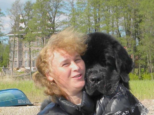 Фото: ньюфаундленд Aquatoriya Kelvin Kadril (Акватория Келвин Кадриль), Lyubov' Jakova (Любовь Жакова)