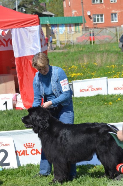 Фотография № 97150