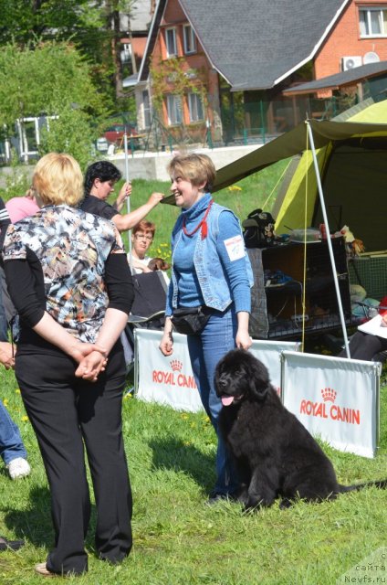 Фотография № 97155