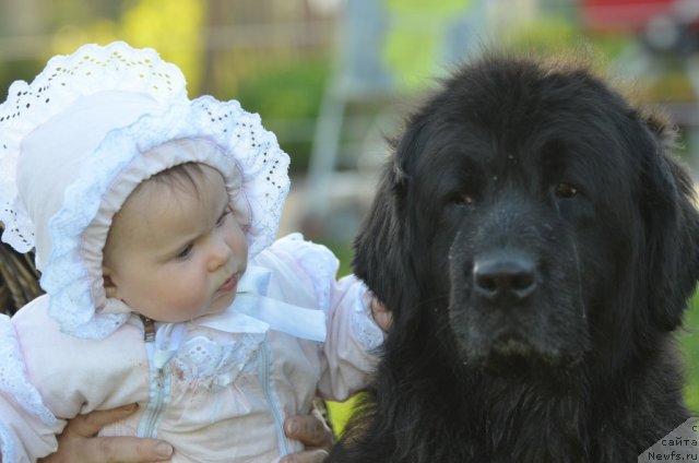 Фотография № 97157