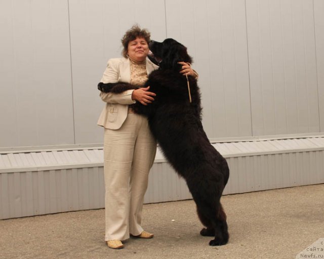 Фотография № 97162