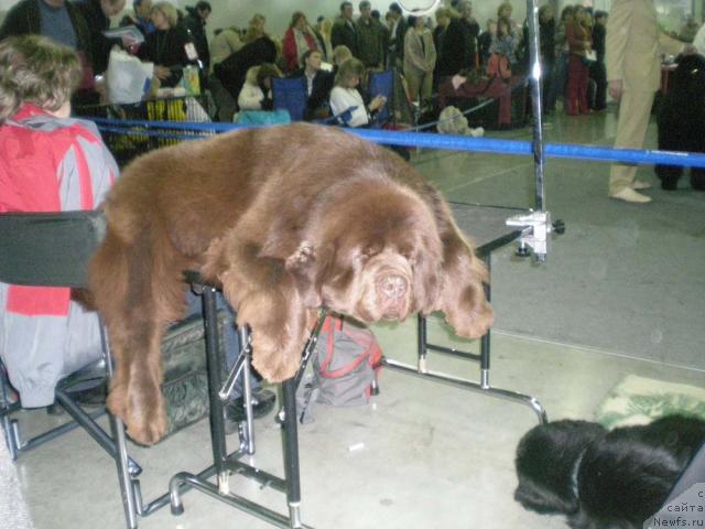 Фотография № 9717