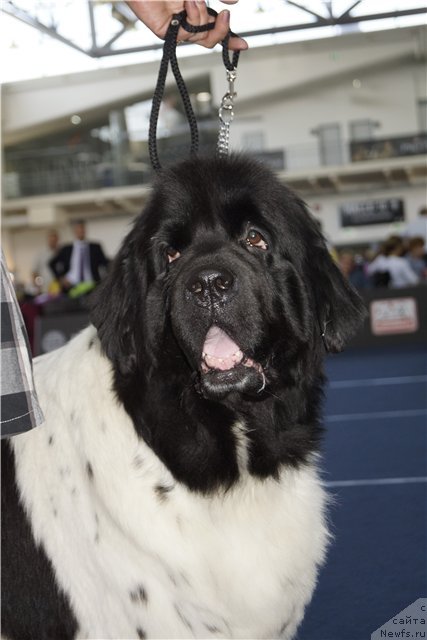 Фотография № 97171