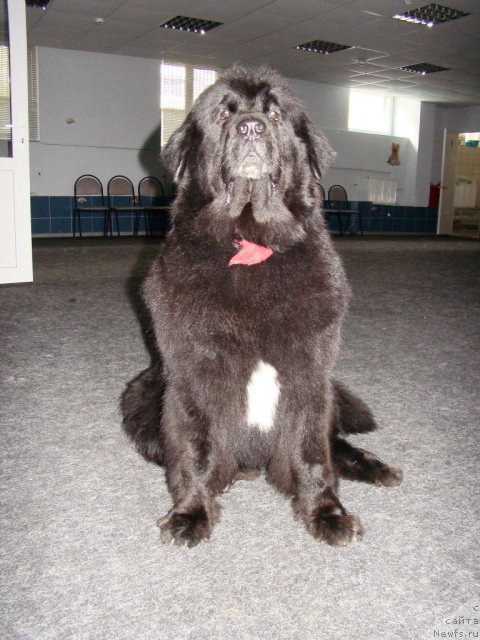 Фотография № 97175