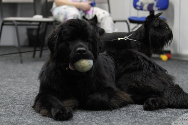 Фотография № 97177