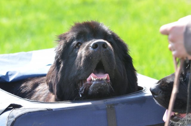 Фотография № 97184