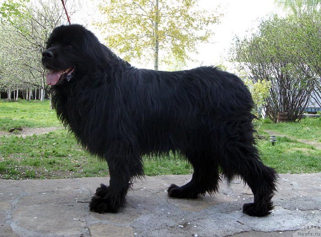 Фотография № 97207