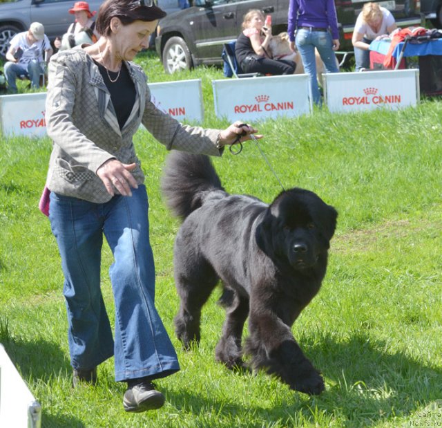 Фотография № 97222