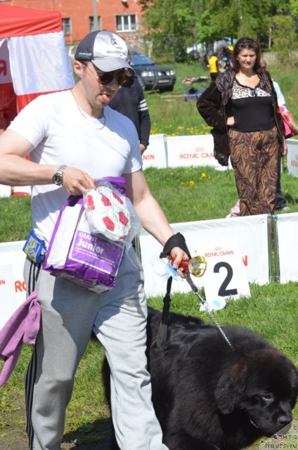 Фотография № 97223