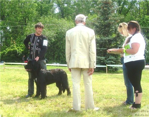 Фото: Velyke Malyatko Ranok Udachi