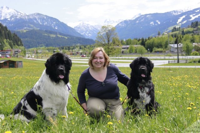 Фото: Nataliya Velikanova (Наталия Великанова), ньюфаундленд Piternyuf Prodigy (Питерньюф Продижи), ньюфаундленд Piternyuf Enigma (Питерньюф Енигма)