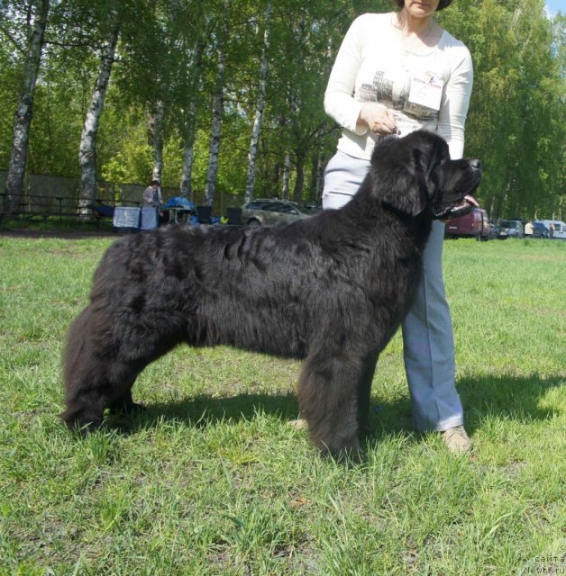 Фотография № 97236