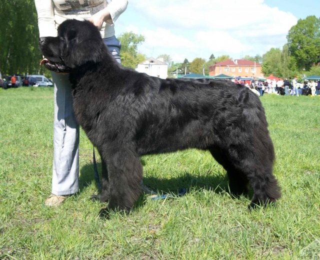 Фотография № 97237