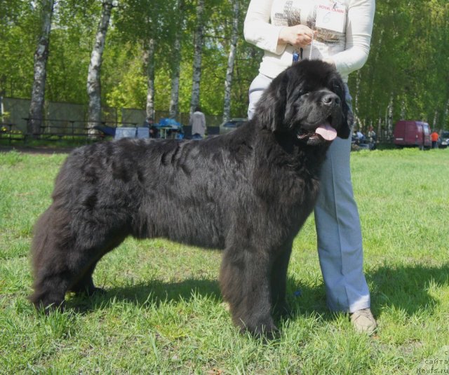 Фотография № 97238