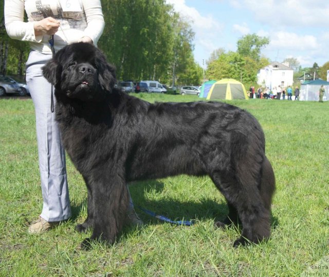 Фотография № 97239