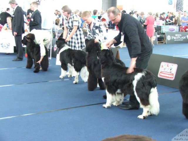 Фотография № 97260