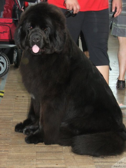 Фотография № 97261